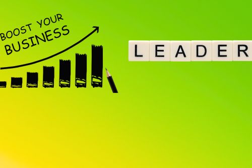 Executive Leadership und Business Consulting – Strategieberatung, Unternehmenswachstum, Geschäftserfolg, vipcleaning.ch Schweiz