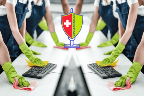 VIP CLEANING SWISS – Weil Diskretion, Stil und Qualität keine Option, sondern unser Standard sind
